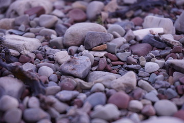 Beach Stones
