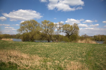 Fototapeta premium Frühling - Landschaft