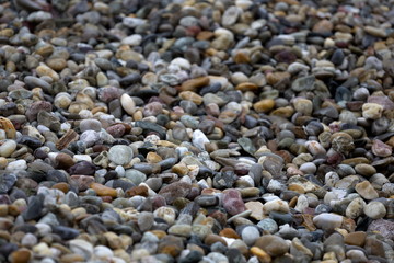 bunter Naturkies - Kies - Kieselsteine