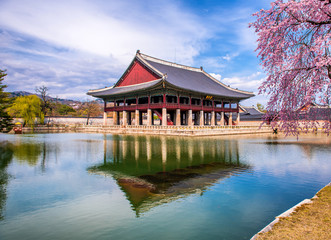 Naklejka premium Pałac Gyeongbokgung wiosną w mieście Seul w Korei Południowej