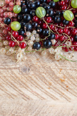 Vitamins. Summer berries. Red currant background. Close up, selective focus. Harvest Concept.