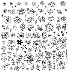 Vintage collection of hand drawn flowers