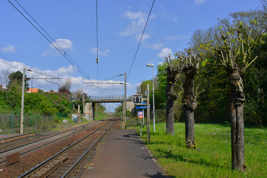 Trois arbres sur les rails &agrave; Andr&eacute;sy (78570), d&eacute;partement des Yvelines en r&eacute;gion &Icirc;le-de-France, France	