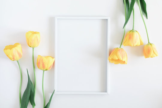 Beautiful composition of spring flowers. Blank frame for text, yellow tulips flowers on white background. Valentine's Day, Easter, Birthday, Happy Women's Day. Flat lay, top view, copy space