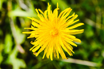 El Parque Natural de Ordesa y el monte perdido