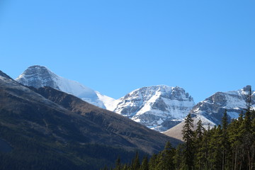 Snow On The High Peaks, Jasper National Park, Alberta