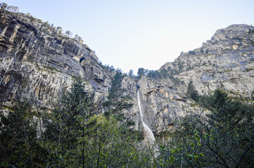 La naturaleza en los Pirineos de España
