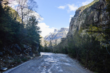 La naturaleza en los Pirineos de España
