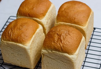 bread