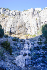La naturaleza en los Pirineos de Espa&ntilde;a