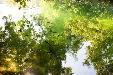 Krka, Sibenik, Croatia - Light reflection upon the river surface of KrKa National Park