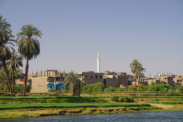 Fototapeta premium Nile River, Egypt: Houses, date palm trees, and a minaret along the east bank of the Nile River.