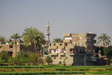 Fototapeta na wymiar Nile River, Egypt: Houses, date palm trees, and a minaret along the east bank of the Nile River.