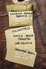 Envelopes For Saving Heirloom Seeds - Botanical & Genus Names Are Scientific Names non-Commercial