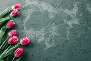 Spring. Gray background with tulips flowers. Copy space