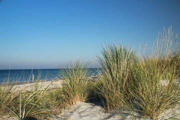 Fototapeta na wymiar Strand mit Dünen