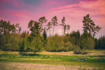 Obraz premium Free, open air grill place in the nature in magical evening colors