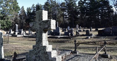 Fototapeta premium New Zealand Cemetery