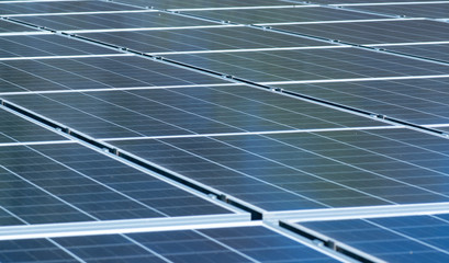 solar panels on the outdoors