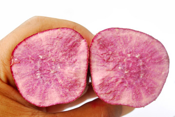 Purple yam head on white background.