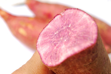 Purple yam head on white background.