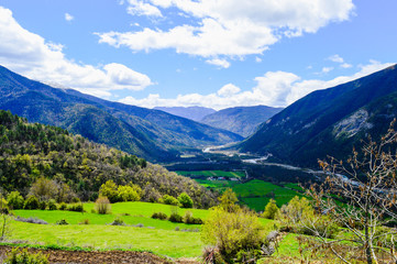 Naklejka premium La naturaleza y animales en los pirineos de españa