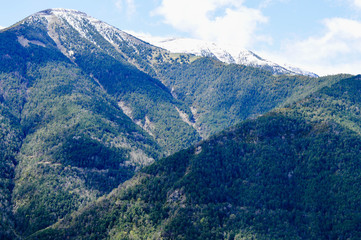 Fototapeta premium La naturaleza y animales en los pirineos de españa