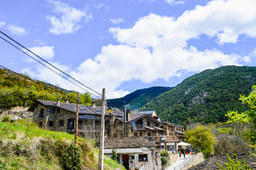 La naturaleza y animales en los pirineos de españa