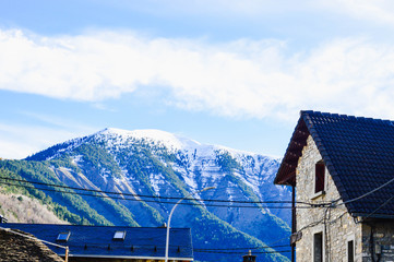 La naturaleza y animales en los pirineos de españa