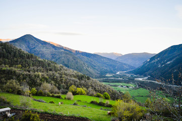 La naturaleza y animales en los pirineos de españa