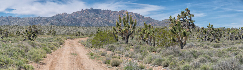 Desert Trail with Mountains © Charles