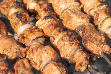 A delicious pork barbecue (BBQ) with onion expires juice on the coals.