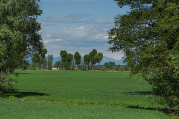 terreno agricolo coltivato a fieno