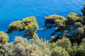 Fototapeta na wymiar parga sea island blue among green pine trees greece