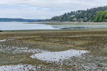 Extreme Tide Landscape 11