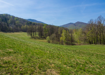idyllic spring mountain hills landscape with lush green grass, fresh deciduous and spruce tree forest, blue sky background, copy space, Jizerske hory, Czech republic