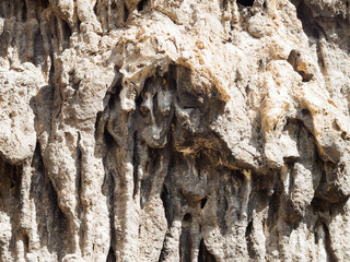 Cotignac dans le Var. Le rocher, les stalactites le long d'une barre de tuff au dessus du village.
