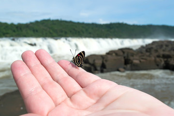 88 Butterfly guesthouse on hand with blurred background of waterfall
