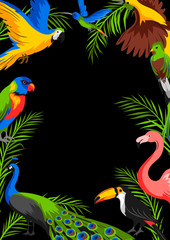 Fototapeta na wymiar Background with tropical exotic birds.