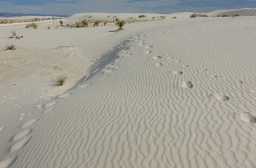Obraz premium View of the White Sands National Monument with its gypsum sand dunes in the northern Chihuahuan Desert in New Mexico, United States