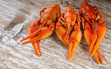 Boiled crayfish on wood background. Close Up