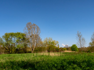 Obraz premium paysage champètre
