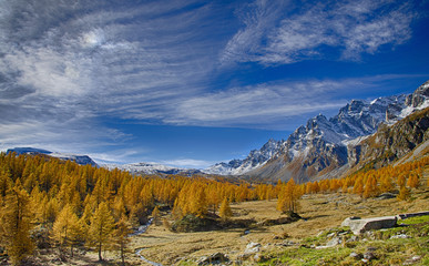 Autumn at Alpe Devero