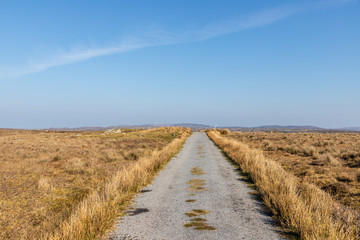 Farm road around Bog with vegetation