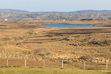 Fototapeta premium Bog with vegetation and lake