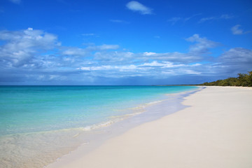Obraz premium Fayaoue beach on the coast of Ouvea lagoon, Mouli and Ouvea Islands, Loyalty Islands, New Caledonia