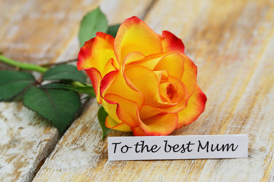 To the best Mum card with beautiful colorful rose on wooden surface