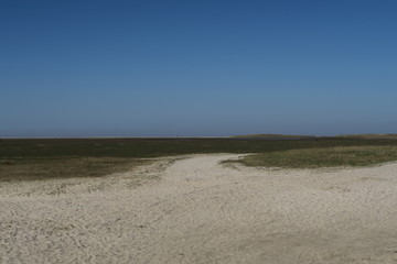 Strand und Salzwiesen im Ortsteil Böhl von Sankt Peter Ording (Nordfriesland)