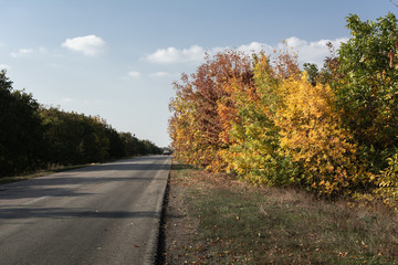 Autumn landscape along the road, Ukraine, Kuchurgan