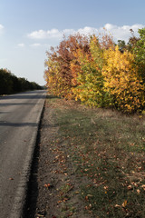 Obraz premium Autumn landscape along the road, Ukraine, Kuchurgan